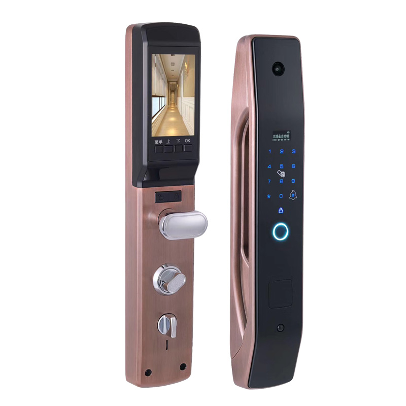 HanDaily Einfach zu installier – Smart Home Door Lock Bewertung und Preis