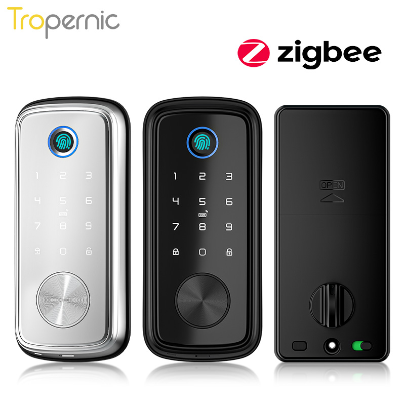 Tuya ZigBee Tür Riegel Schlöss – Smart Home Door Lock Bewertung und Preis